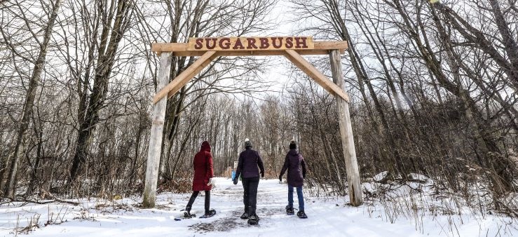 Snowshoeing on the Sugar Bush Trail at Island Lake Conservation Area